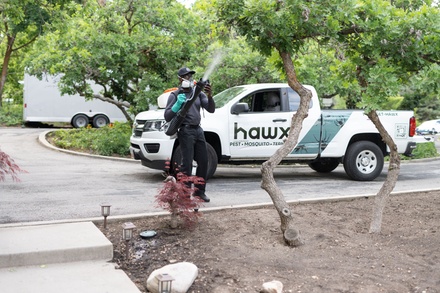 Six-Month General Pest Control Service + Healthy Home Inspection - Hawx Pest Control