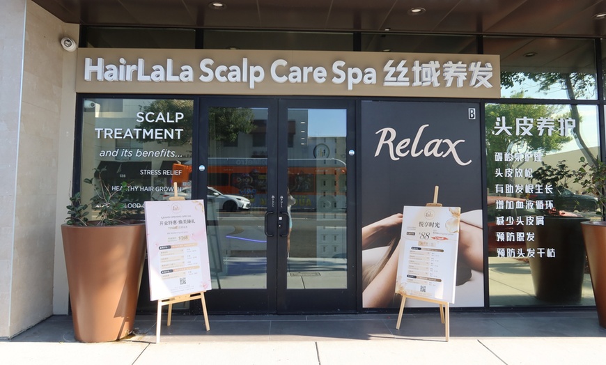 Image 3: Restore Scalp Vitality & Melt Away Stress with Signature Scalp Spa