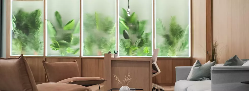 Driveway Pressure Washing for a Perfect Cleanup