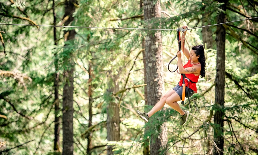 Image 5: Up to 37% Off Adventure Course & Ziplines at Tree To Tree Cape May