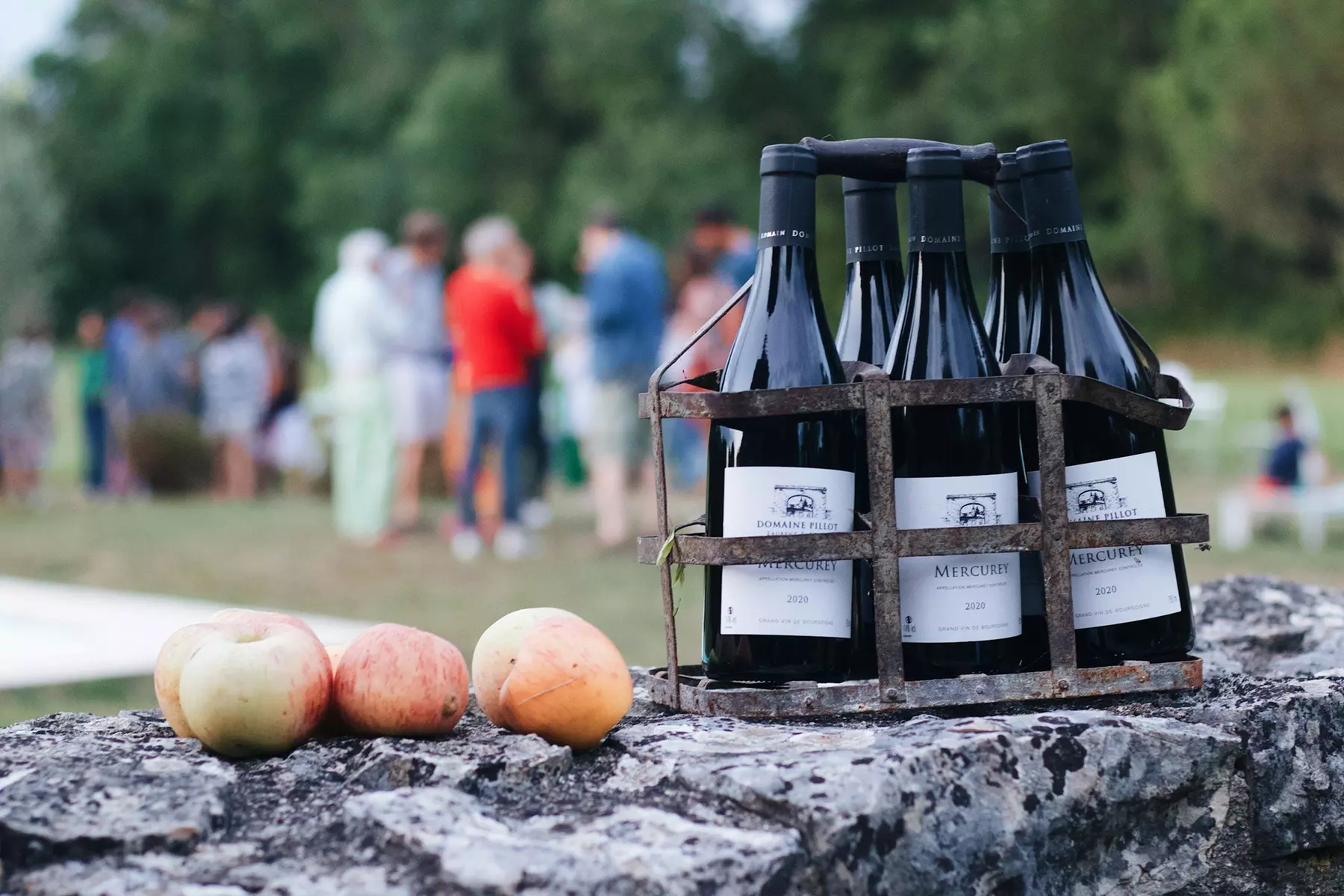 Up to 45% Off Admission to Hudson Valley Wine & Food Festival