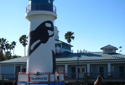 SeaWorld Orlando