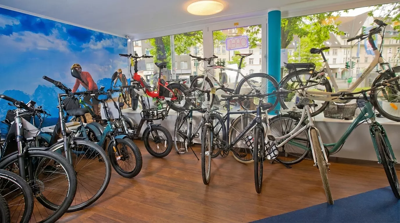 Fahrrad-Inspektion oder Reinigung für Fahrrad-, E-Bike- oder Lastenrad