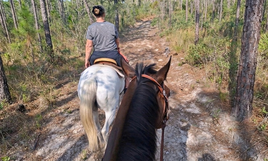 Image 8: Guided Trail Rides Through Florida's Scenic Countryside