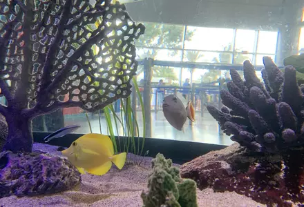 SEA LIFE Orlando Aquarium