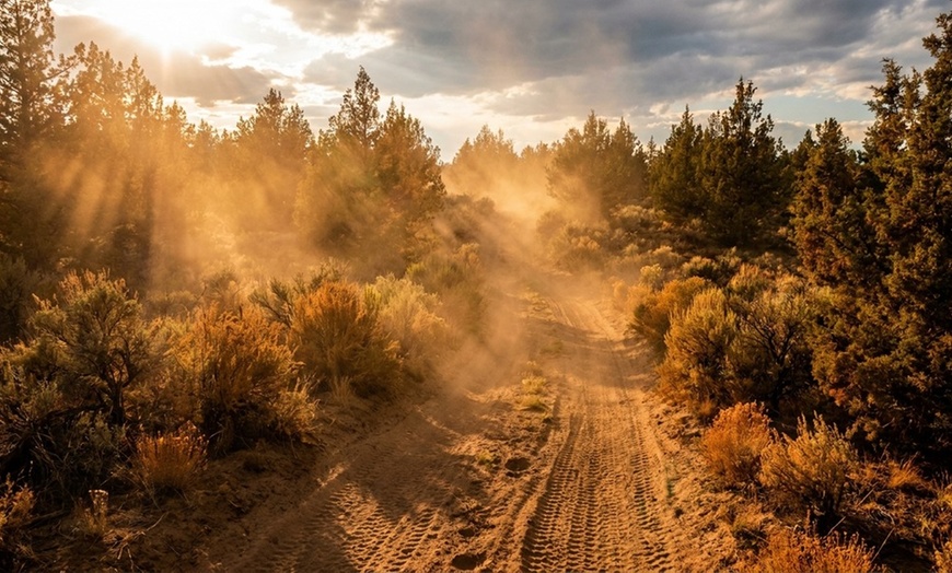 Image 5: Enjoy High-Performance Full UTV Rental in Rugged Terrain