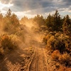 Image 5: Enjoy High-Performance Full UTV Rental in Rugged Terrain