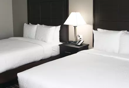 Standard Double-Queen Room