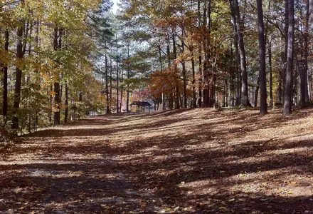 Murphey Candler Park