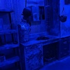 Image 3: Private Escape Games with Epic Stories in Hoffman Estates