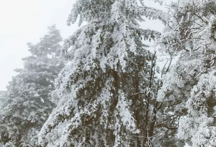 Lake Arrowhead Village