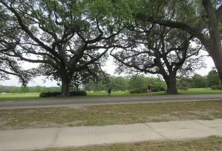 Audubon Park