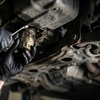 Image 4: Oil Change with Brake Inspection – Choose Conventional or More
