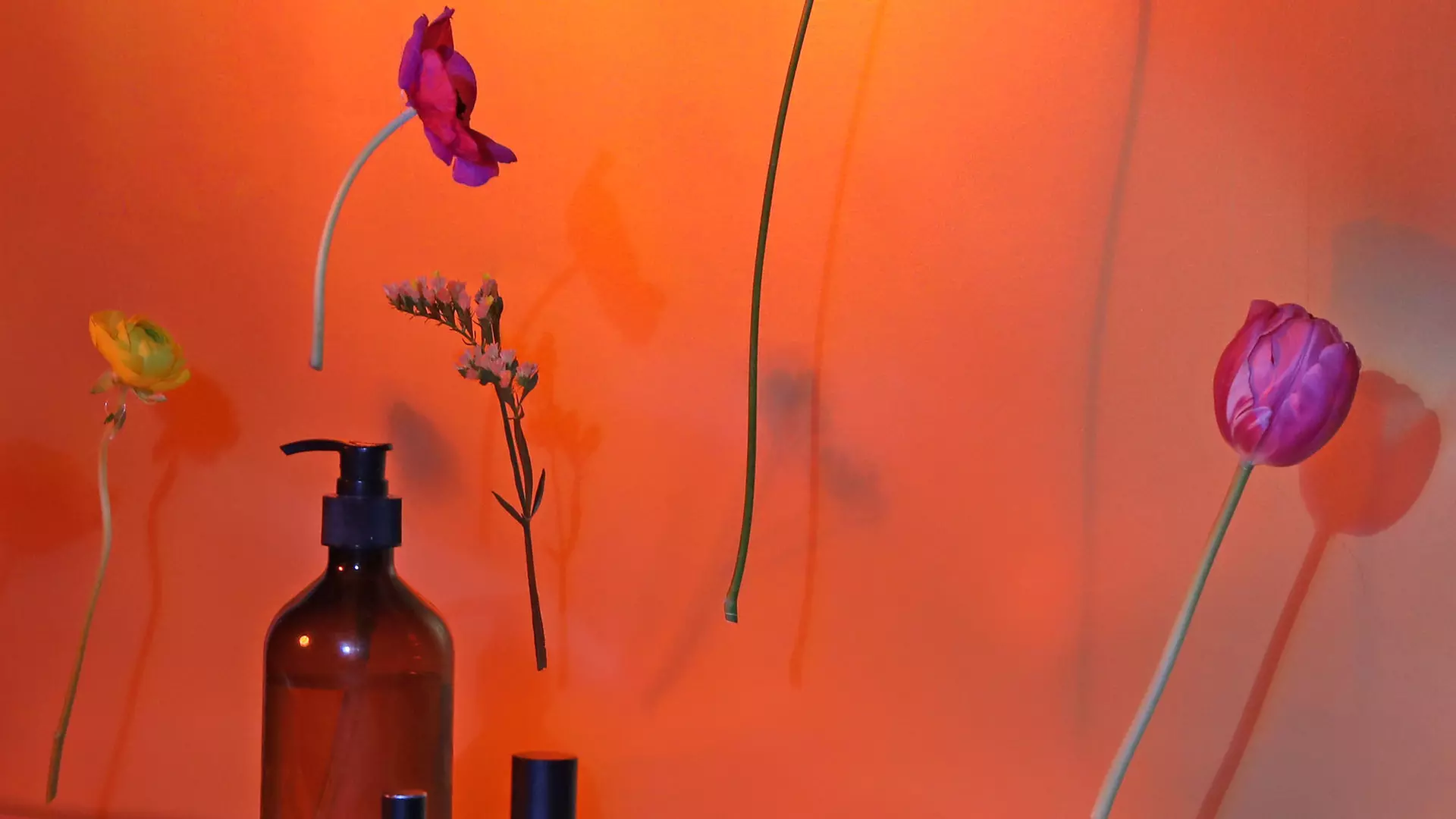 Professional Swedish - Save Up to 30% - Second Medium