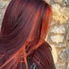 Image 2: Precision Cuts & Deep Conditioning Treatments for Healthy Hair