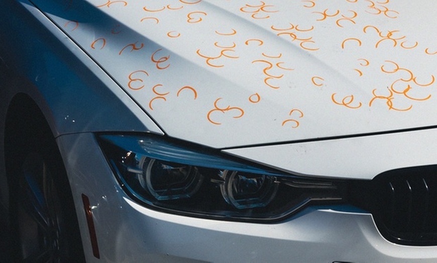 Image 7: Repair Credits for Hail-Damaged cars