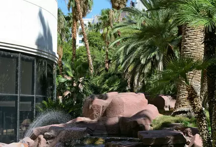 Flamingo Wildlife Habitat