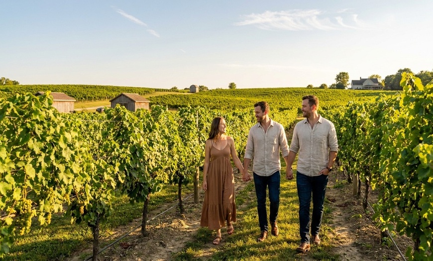 Image 4: Explore vineyard tours and wine tasting appreciation seminars