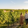 Image 4: Explore vineyard tours and wine tasting appreciation seminars