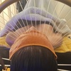 Image 3: Relaxing Head Spa with Facial Treatment for Scalp Health