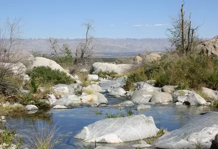 Tahquitz Canyon