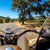 Image 5: 2.5 Hours Vintage Motorcycle Sidecar Scenic Wine Tour for 2, 4, or 6