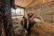 Bilety wstępu do Mini Zoo Zakopane w Parku Gubałówka (do -20%) - Image 3