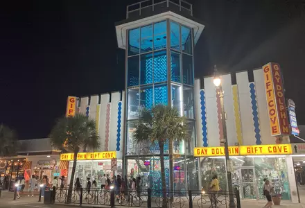 Gay Dolphin Gift Cove