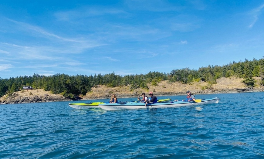 Image 5: Kayak Tours & Rentals: Bioluminescence and Whale Watching
