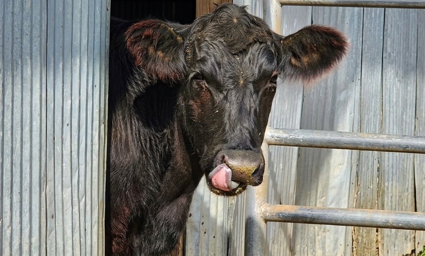 Image 18: Petting Zoo Admission Deals & Discounts