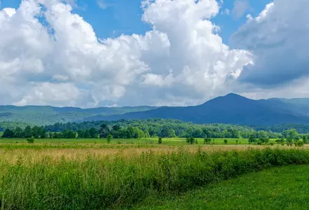 Great Smoky Mountains National Park