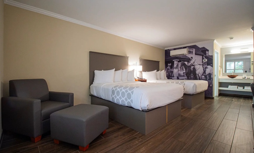 Image 22: Charming Horse Hotel in Ocala
