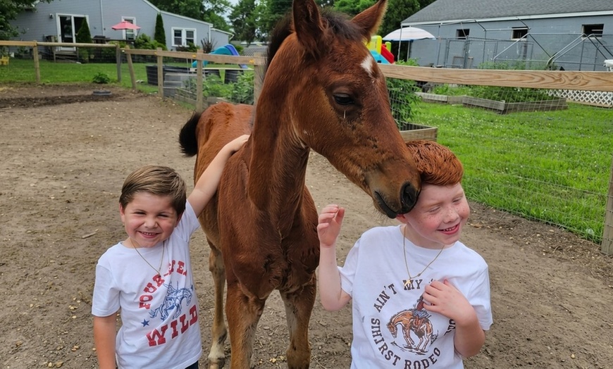 Image 3: Elevate Your Riding Skills: Scenic Horseback Riding Lesson for 2 or 4