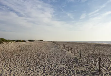 Assateague Island National Seashore