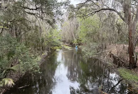 Shingle Creek