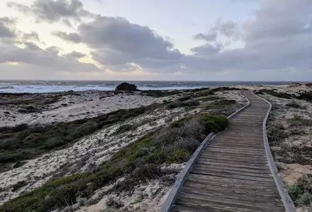 Asilomar State Beach