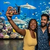 Image 2: SharkCon Admission Tickets