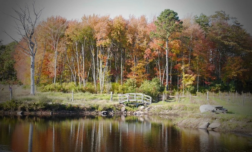Image 7: Sip, Savor and Enjoy: Wine Tasting for 2 or 4 at Leyden Farm & Winery