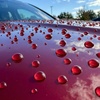 Image 4: Exterior & Interior Car Detail at Social Auto Detail (Up to 20% Off)