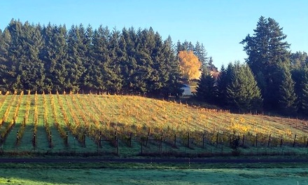 Winery Tour, Wine Tasting and Light Bites for Two - Helvetia Winery