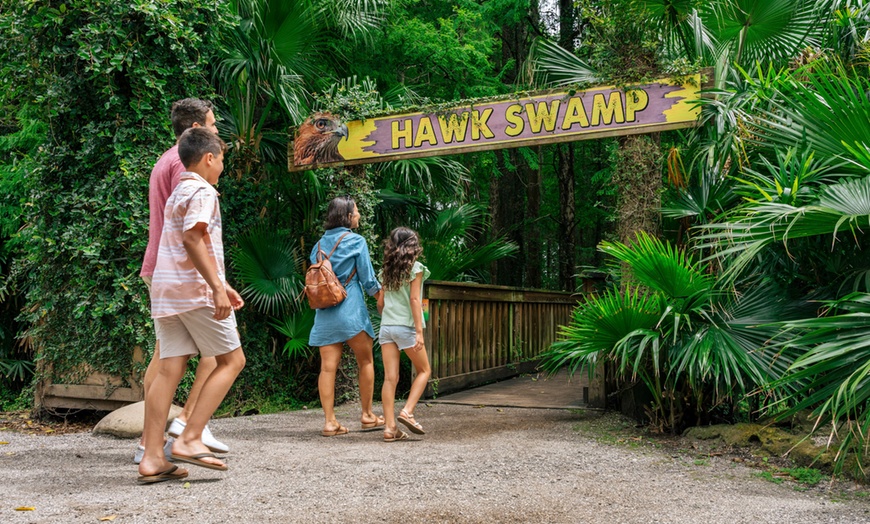 Image 10: Wild Florida Gator Park Admission with Options for Lunch Air Boat Ride