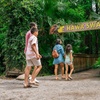Image 10: Wild Florida Gator Park Admission with Options for Lunch Air Boat Ride