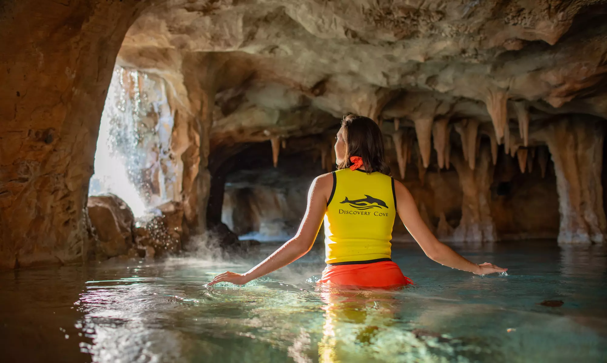 Experience Unforgettable Animal Encounters & All-Inclusive Luxury at Discovery Cove, Orlando's #1 Theme Park