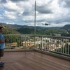 Image 6: Up to 32% Off on Landmark / Tower at Gatlinburg Space Needle