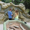 Image 7: Explore History, Art, Global Wildlife & Dinosaurs w/ Admission for 1-4
