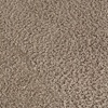 Image 1: Carpet Cleaning Services with Deodorizing