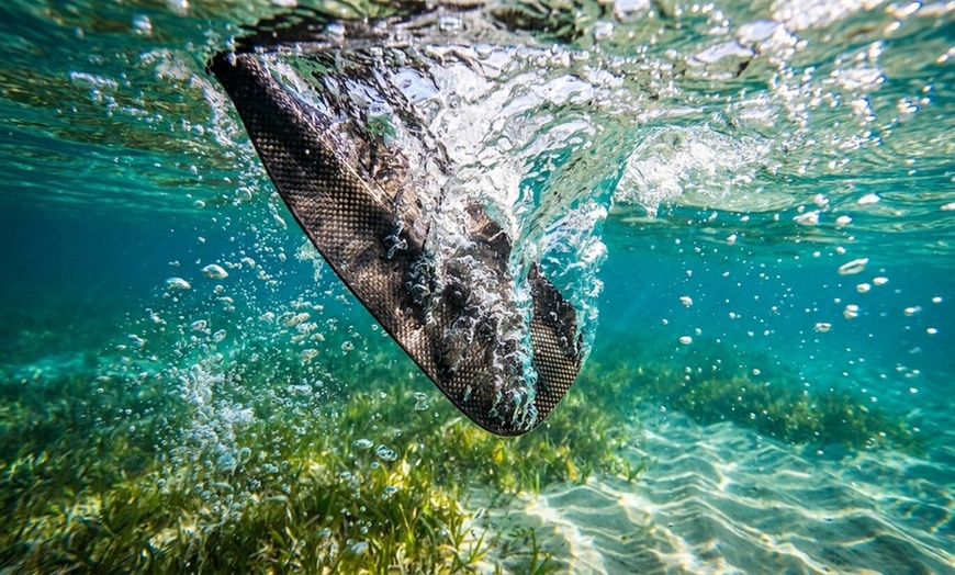 Image 5: Guided kayak tour with dolphin and manatee sightings in Cocoa Beach