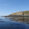 Image 8: Kayak Tours & Rentals: Bioluminescence and Whale Watching
