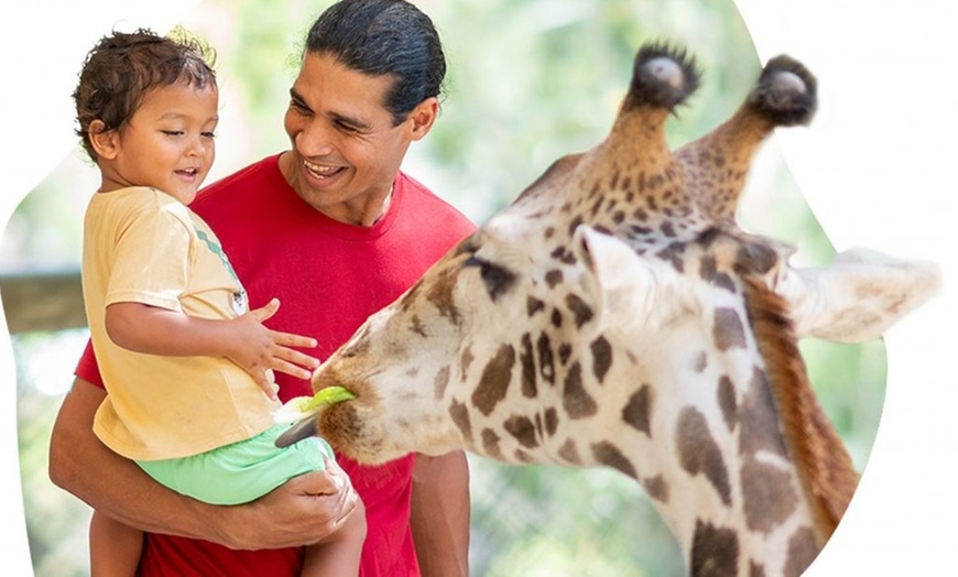 Image 2: Brevard Zoo Admission & Animal Encounters, Melbourne, FL