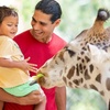 Image 2: Brevard Zoo Admission & Animal Encounters, Melbourne, FL